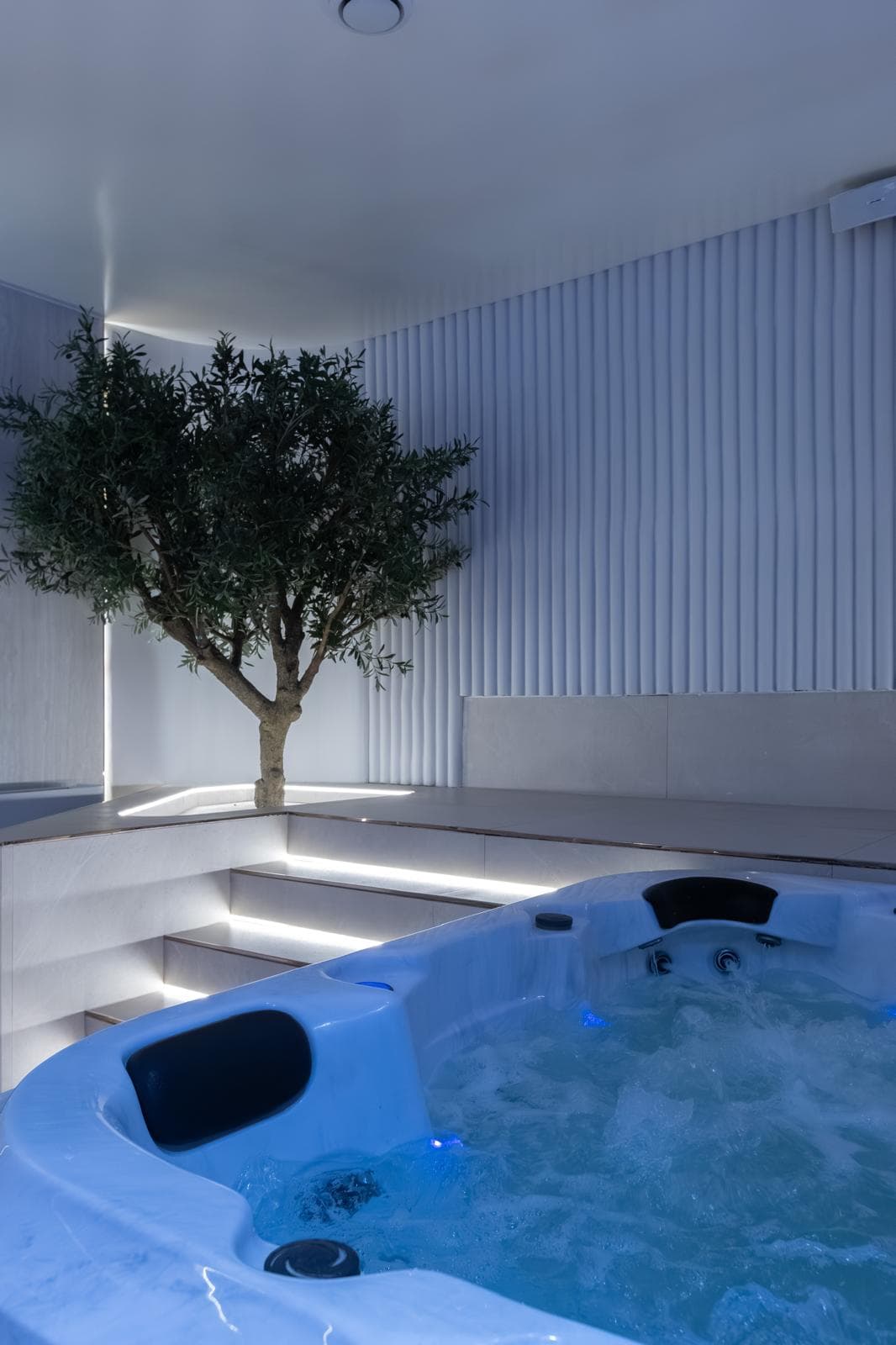 Jacuzzi et espace détente
